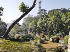-东莞植物园