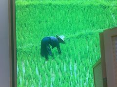 -小满手工粉(北京顺义华联店)