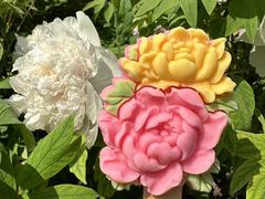 -洛阳市隋唐城遗址植物园