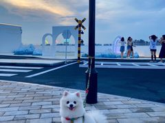 -Blue Concept Cafe&Farm·關於藍