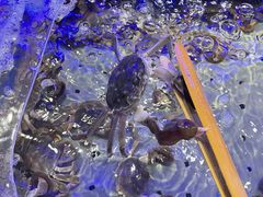 -澜悦港海鲜体验主题餐厅