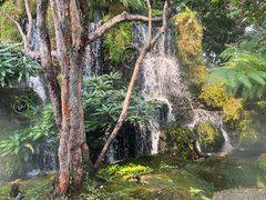 -Chom Cafe and Restaurant