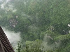 -林记开心动物奶油生日蛋糕(万象店)