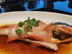 -茉莉花空中花园餐厅(义乌店)