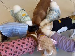 -怪兽屋·羊驼·猫咖·狗咖(俊华广场店)