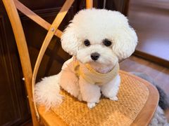 -沏点Trattoria意大利餐厅(新街口店)