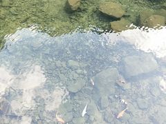 -宁波五龙潭景区