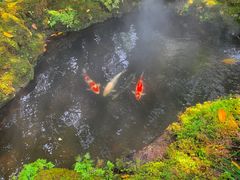 -Chom Cafe and Restaurant