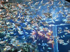 -成都浩海立方海洋公园