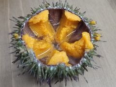 -海胆小馆(东北水饺·春柳店)