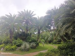 -碧桂园润杨溪谷温泉酒店