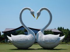 -东平国家森林公园