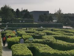 -莫子山公园