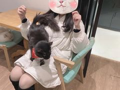 -猫色咖啡·猫咖