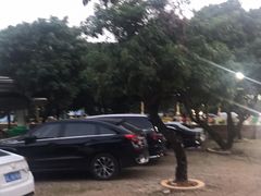 -满記土窑烧鷄波浪山莊