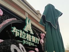 -布拉格餐厅· 中欧捷克菜(全国首店)