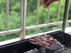 -王顺山国家森林公园