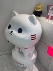 -咪咪专业脱毛连锁机构
