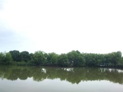 -长兴太湖图影湿地文化园