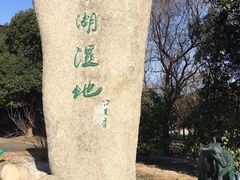 -溱湖国家湿地公园