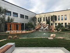 -北京国家会计学院