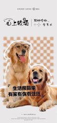 点击看大图 -金夫人婚纱摄影(总店)