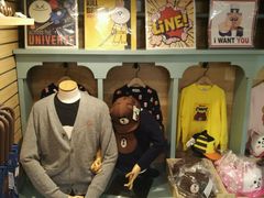 -line friends(明洞旗舰店)