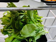 -大理.老字号渝记酸萝卜乌鱼(古城总店)