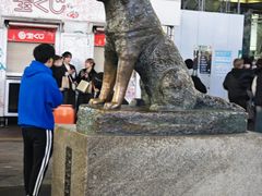 -涩谷全向十字路口