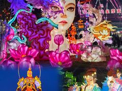 -淄博花灯齐彩城