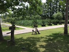 -前小桔亲子创意农场·草莓采摘·露营烧烤