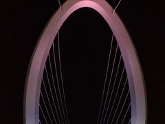 -南京眼步行桥