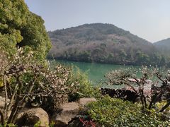 -白马涧龙池景区
