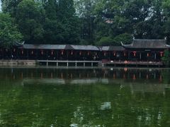 -棠湖公园