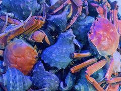 -半岛听涛蒸汽海鲜自助(K11店)