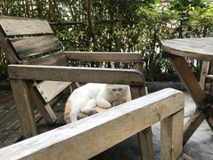 -彳亍咖啡·这里(水湾路店)