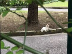-上海财经大学(国定路校区)
