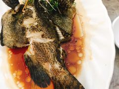 石斑鱼清蒸-四川小胡子海鲜(丁村万人海鲜广场店)