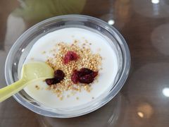 蔓越莓炒米酸奶-真食净香居·内蒙烧麦(亚运村店)