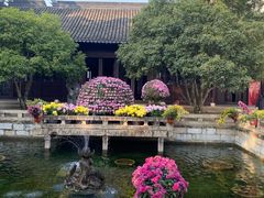 -上海醉白池公园