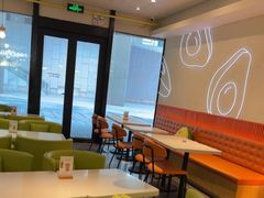 -油梨树 AVOCADO TREE(亮马桥店)