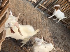 -太阳岛旅游度假区