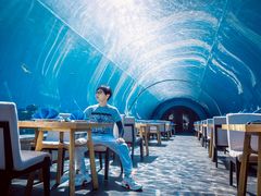 -涛·海底餐厅·美人鱼·自助餐·海底隧道(三亚海棠湾洲际度假酒店)