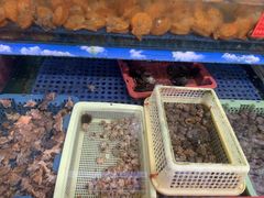-坛南湾阿强农家乐.海鲜大排档老字号(福州地标美食店)