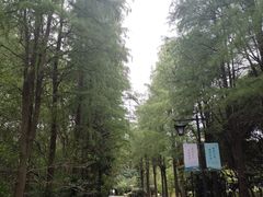 -狼山风景名胜区