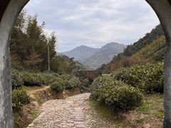 -仙霞关景区