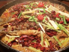 -老板恋上鱼(高新万达店)