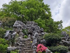-上海鲜花港