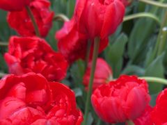 -玄武湖景区-情侣园游乐场