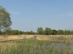 -野鸭湖国家湿地公园